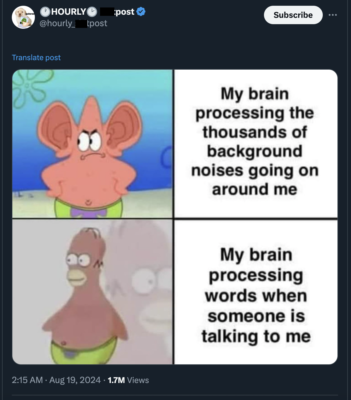 Meme - Hourly Translate post post 1.7M Views Subscribe My brain processing the thousands of background noises going on around me My brain processing words when someone is talking to me